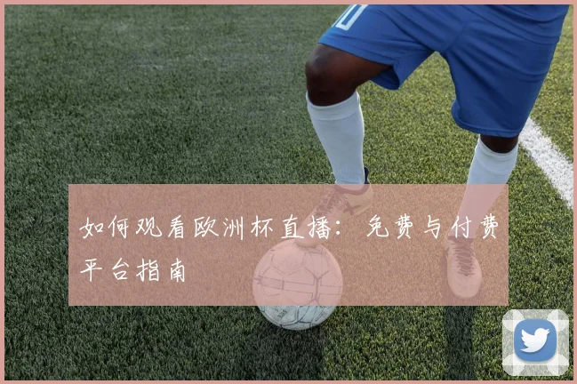 如何观看欧洲杯直播：免费与付费平台指南