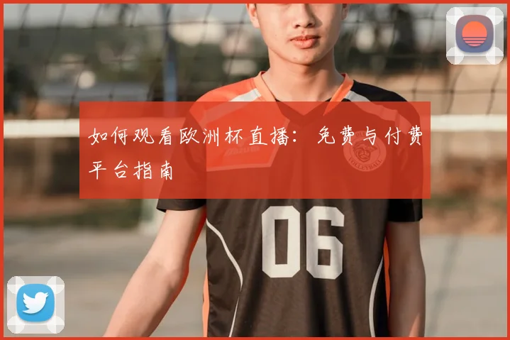 如何观看欧洲杯直播：免费与付费平台指南