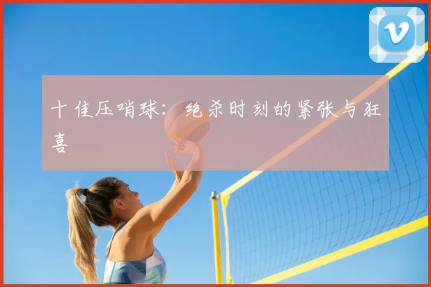 十佳压哨球：绝杀时刻的紧张与狂喜