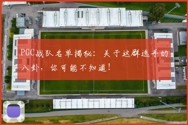 PGC战队名单揭秘:关于这群选手的八卦,你可能不知道!