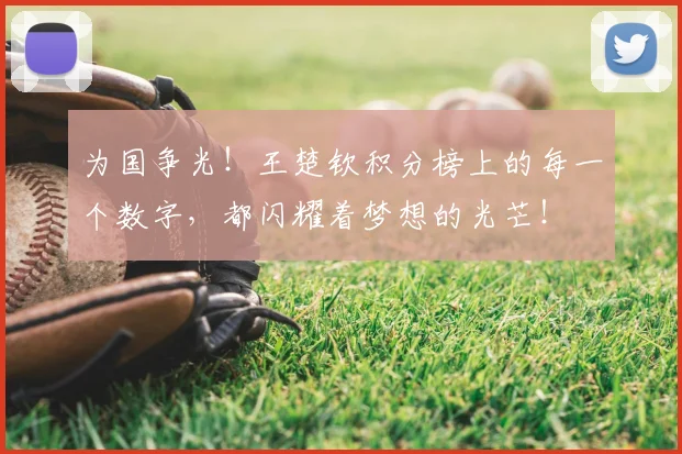 为国争光!王楚钦积分榜上的每一个数字,都闪耀着梦想的光芒!