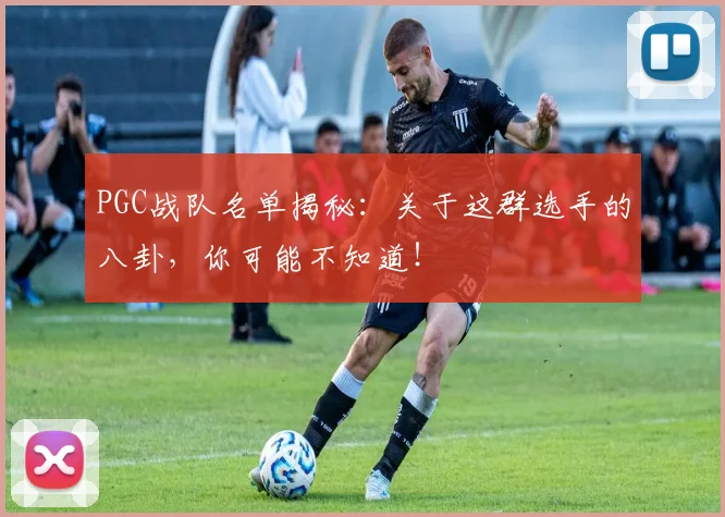 PGC战队名单揭秘:关于这群选手的八卦,你可能不知道!
