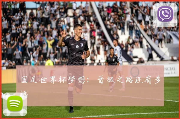 国足世界杯梦想:晋级之路还有多远